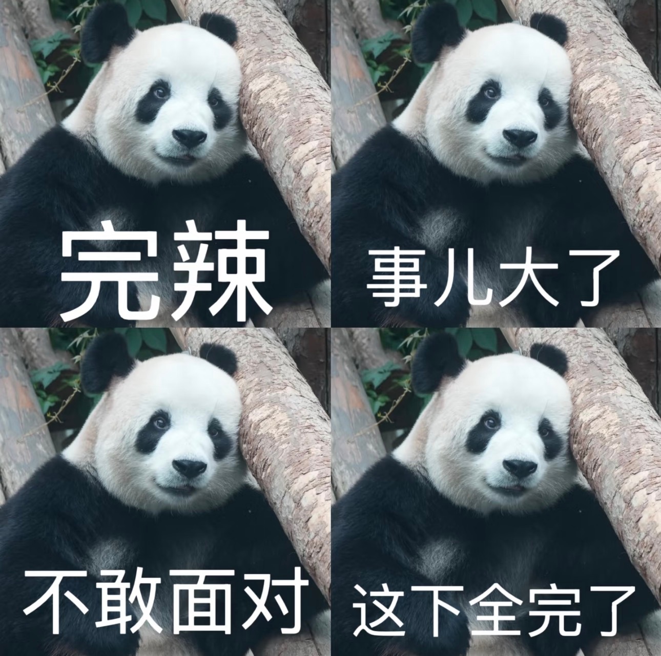 闹麻了！牢美非农 数据大超预期！【黄金】已经崩了！今晚【美股】估计也完蛋了美国8