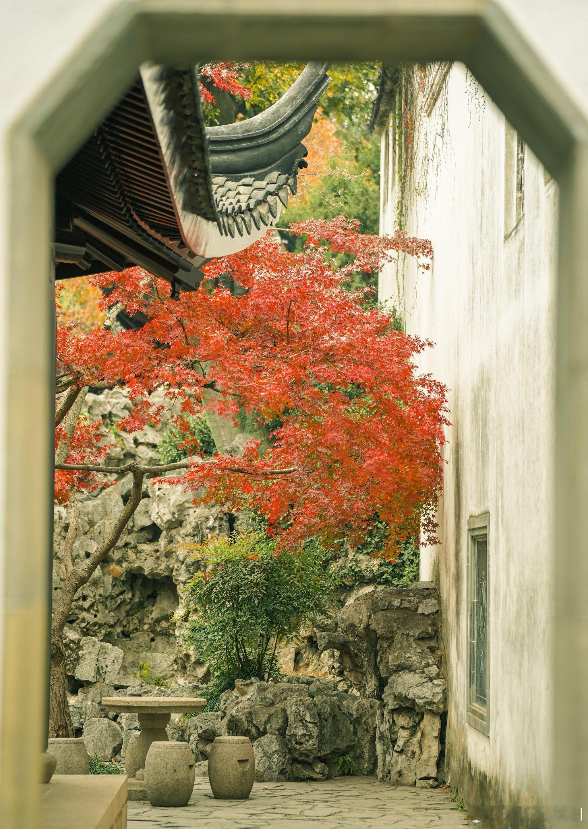 别太顺从，拒绝不喜欢的事；人生不是讨好别人，而是宠爱自己。    