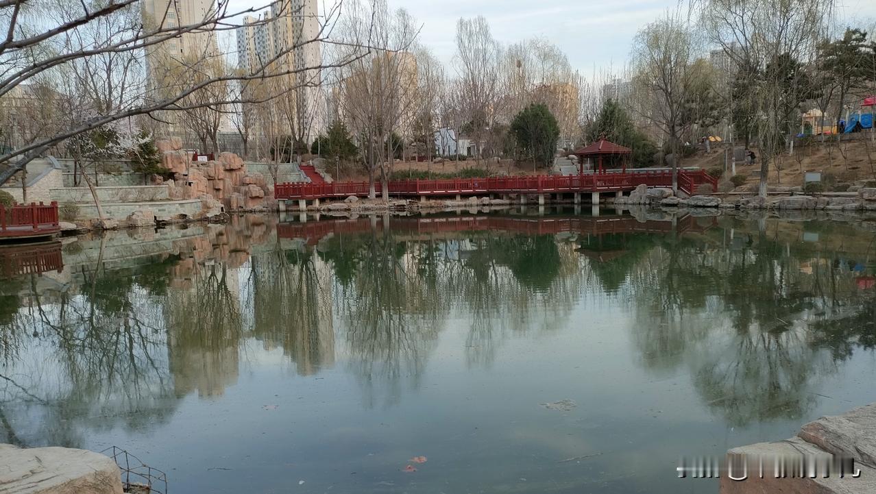 昨天去公园晨练，走在湖边心情特别好，这又是美好的一天，看见淸清的湖水，又一番景象