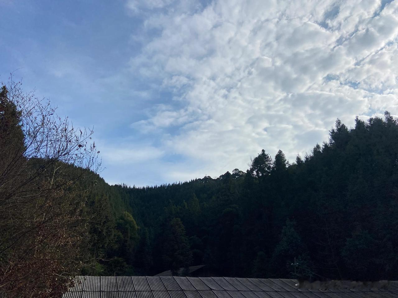 “你家的鸡太脏了，一身都是泥土，这种鸡谁要啊，我只喜欢水泥地上的鸡”。这样的话真