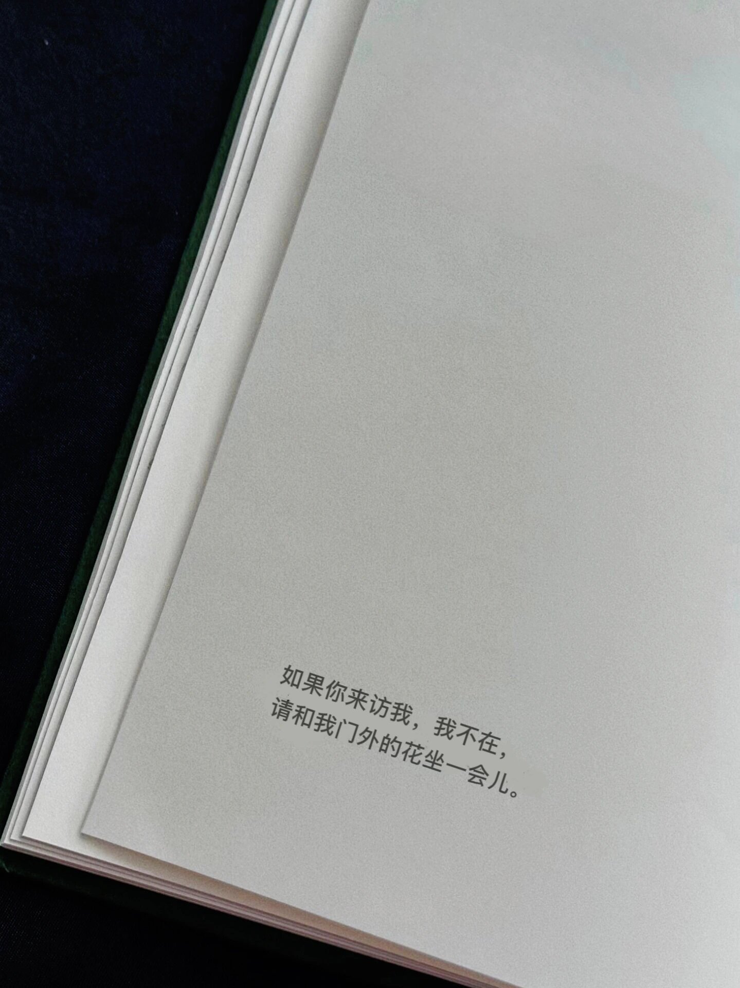 看一眼就喜欢的温柔至极文案！ ​​​