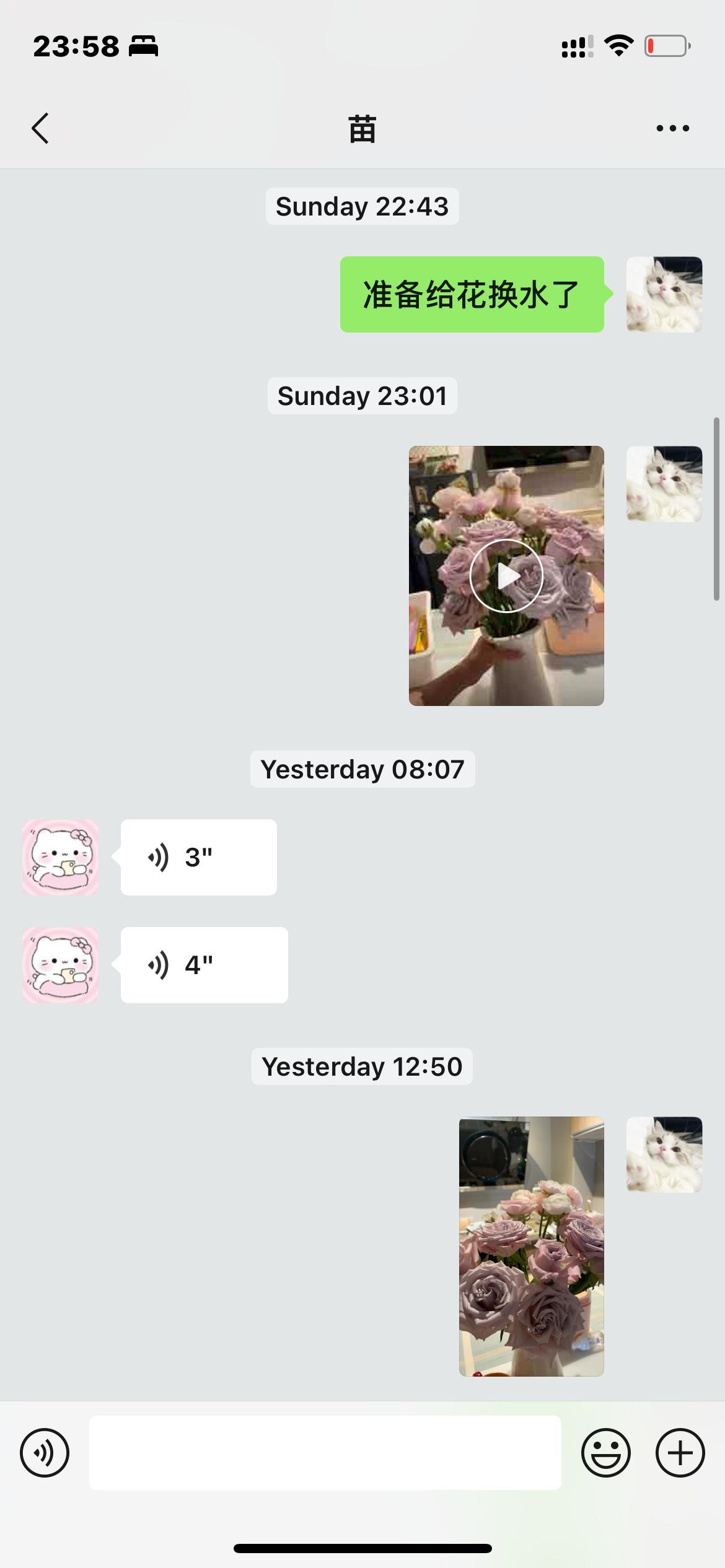 因为老公买的手捧花喜欢上了养花 自己还没来得及去买花 苗苗姐就先给买了 现在给苗