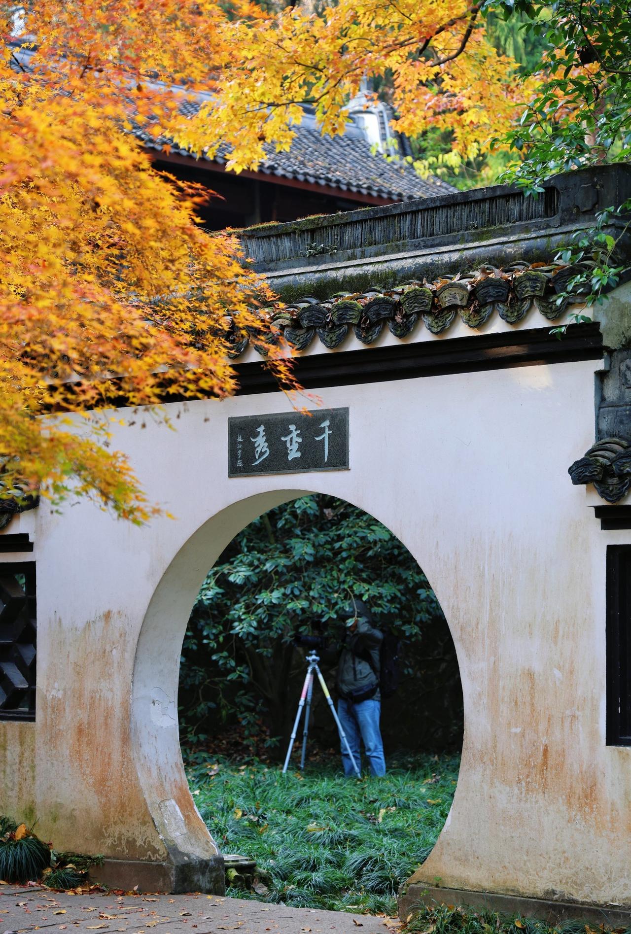 杭州秋冬轻徒步，收藏一路的诗意
📍杭州 
0元玩转这座城秋冬徒步秋冬好去处杭州