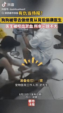 [中国赞]“有仇当场就报了！”据媒体8与15日的报道，近日，四川成都，一女子带着
