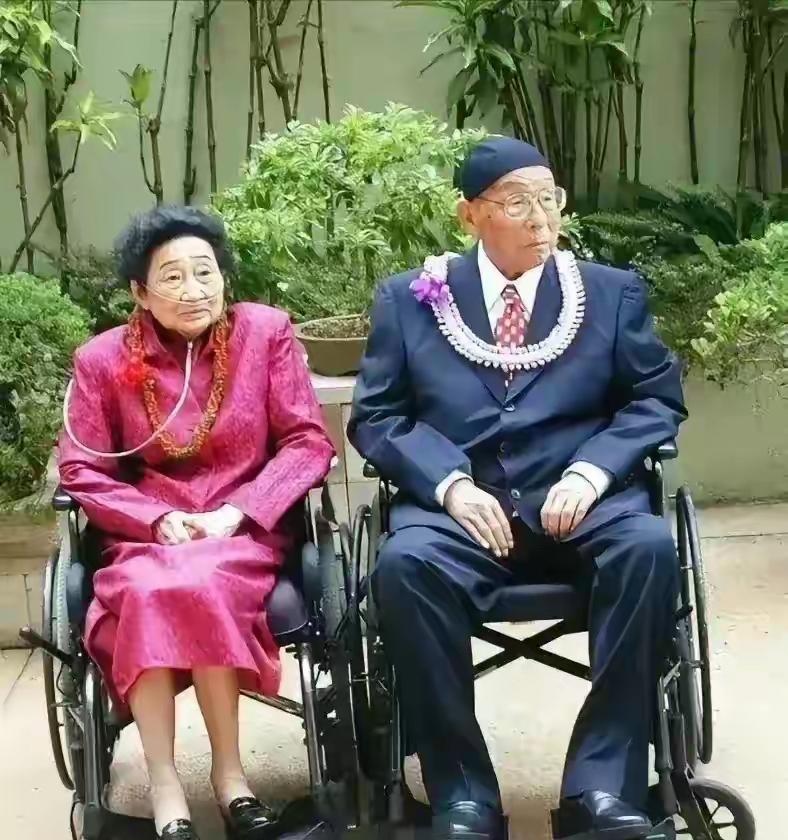 这是100岁的少帅张学良和妻子赵四小姐的真实样貌，这可不是演员扮演的，这也是夫妻