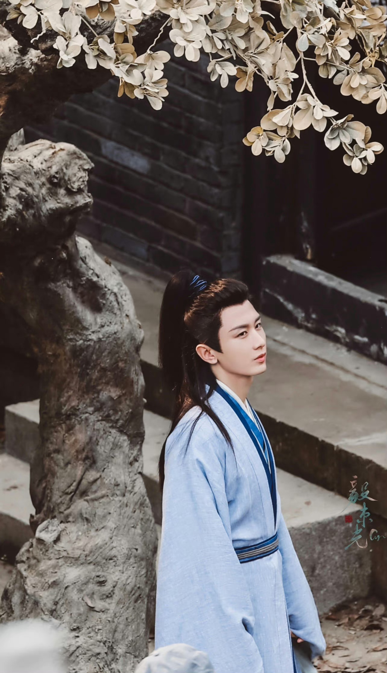 成毅卢云cy成毅江湖的风已经吹了很久，那个青衫落满风霜的书生，也该踏上归途了。期
