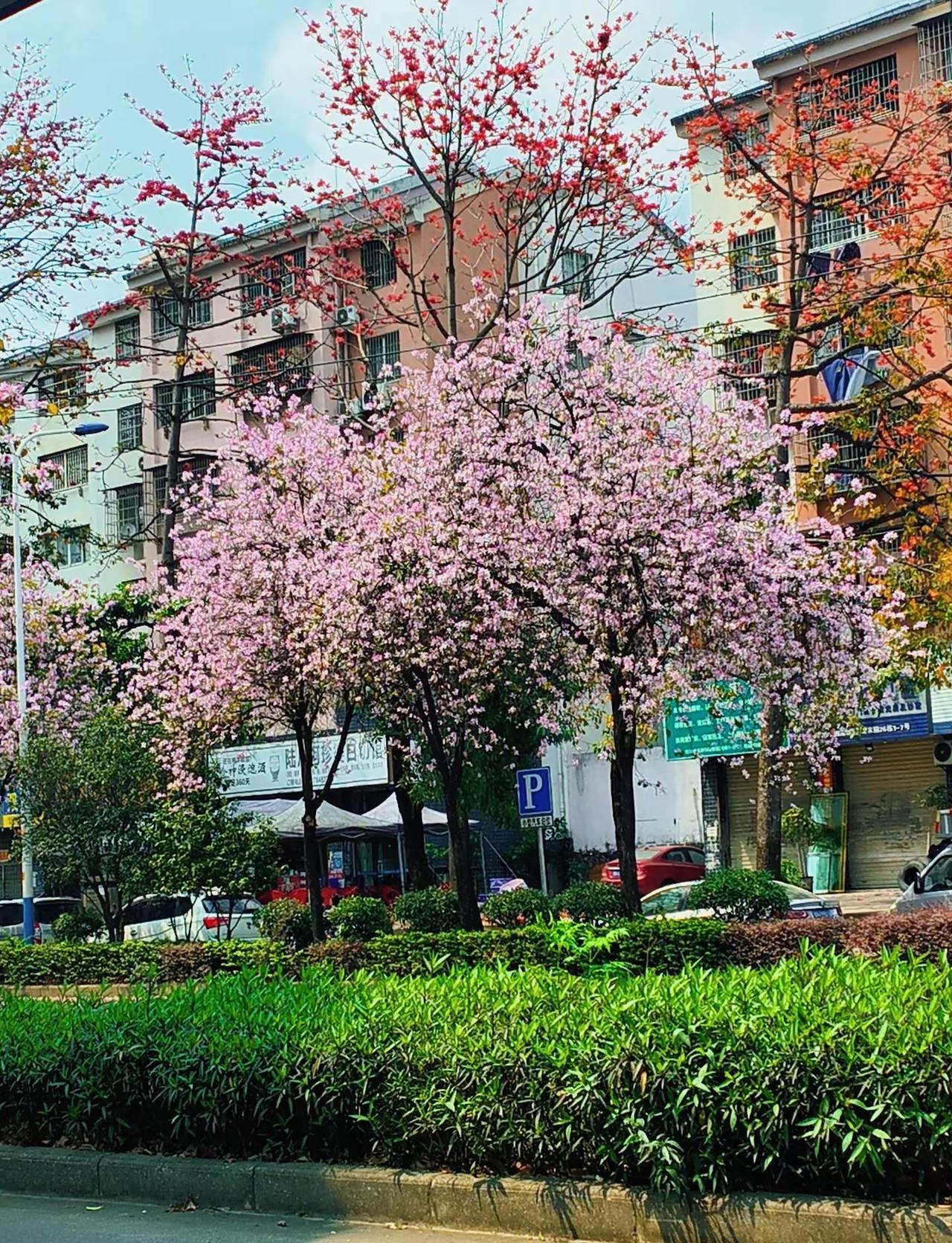 柳州天气的套路，永远让你猜不透下一分钟穿什么