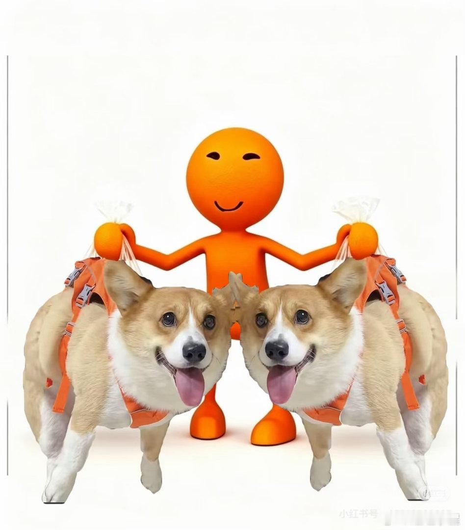 张极  🧡张极 名品高奢全聚焦 🧡张极绝美音色 0000人生最大的喜悦，就是