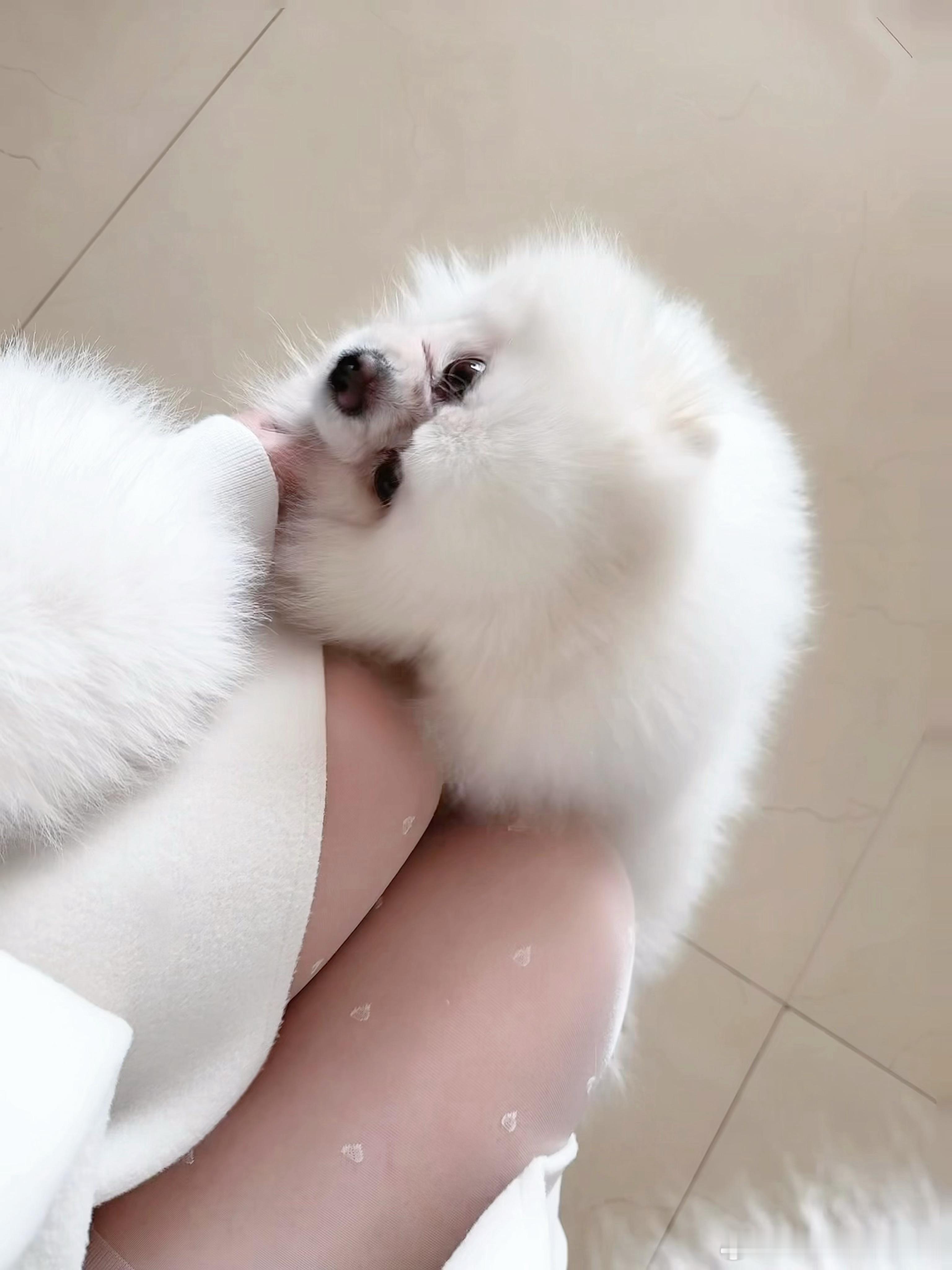 她的笑真的好甜 