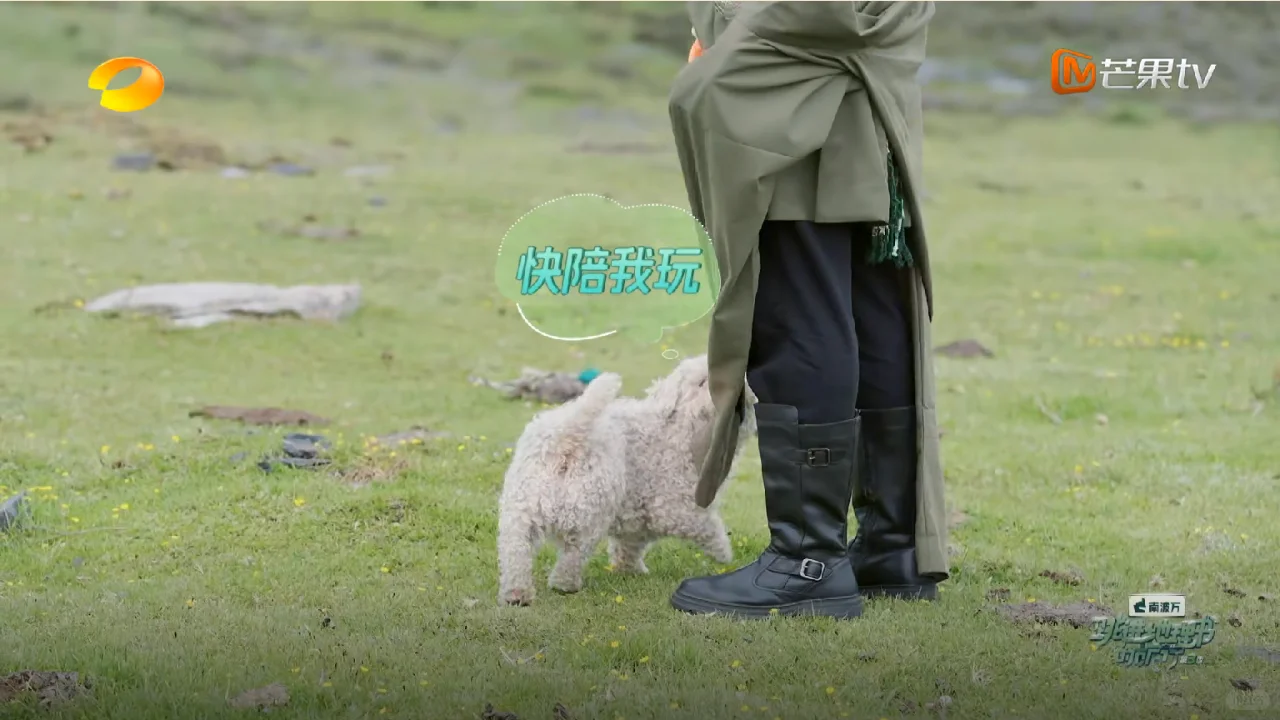 黄子：你不要过来啊！名场面限定返场