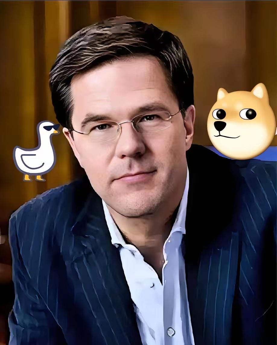 就在昨天
荷兰正式宣布!
10月31日荷兰安世在次确认向中国东莞工厂断供晶圆，理