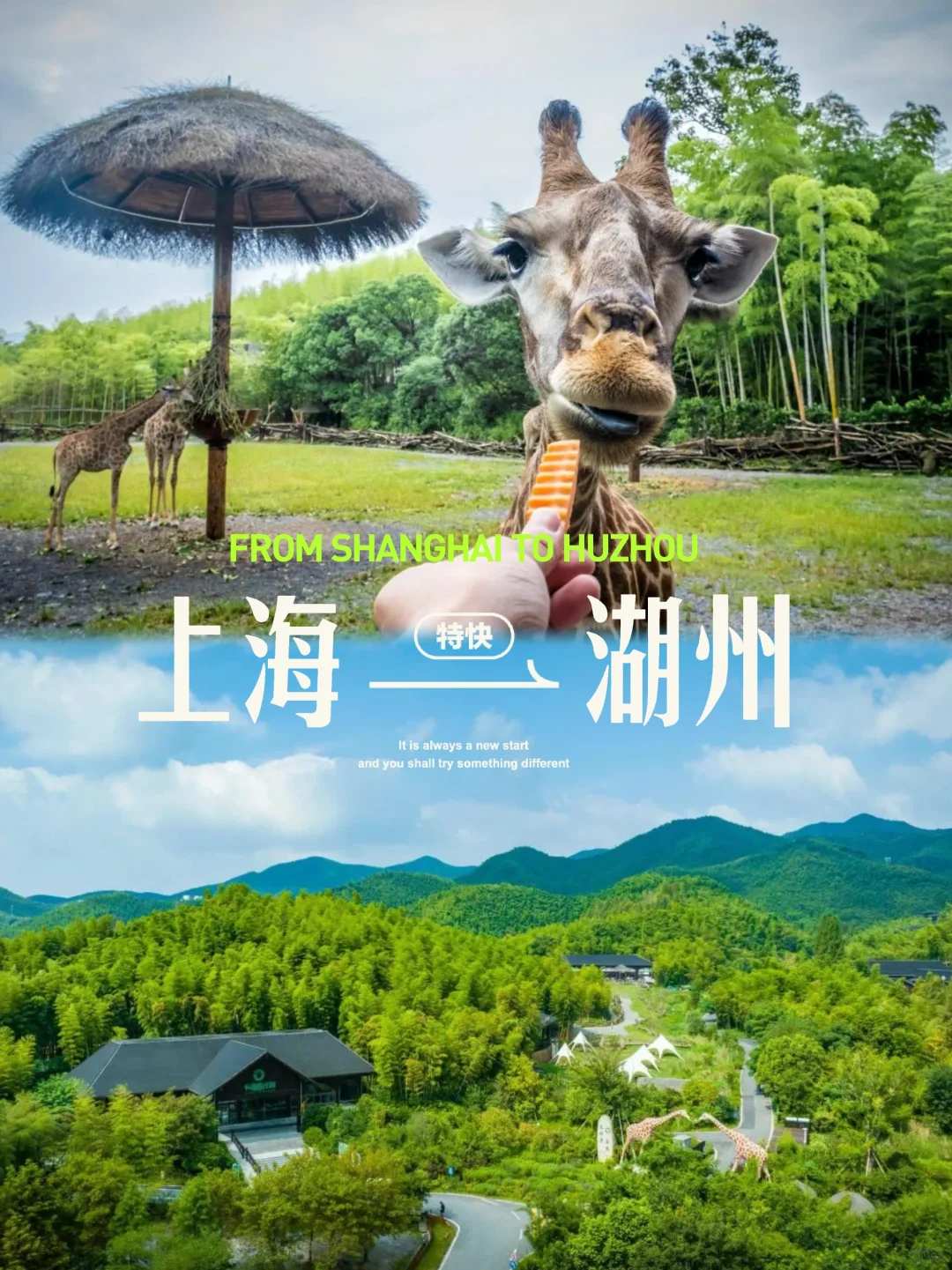 🚅乘着高铁穿梭湖州·吴兴的梦幻之旅✨