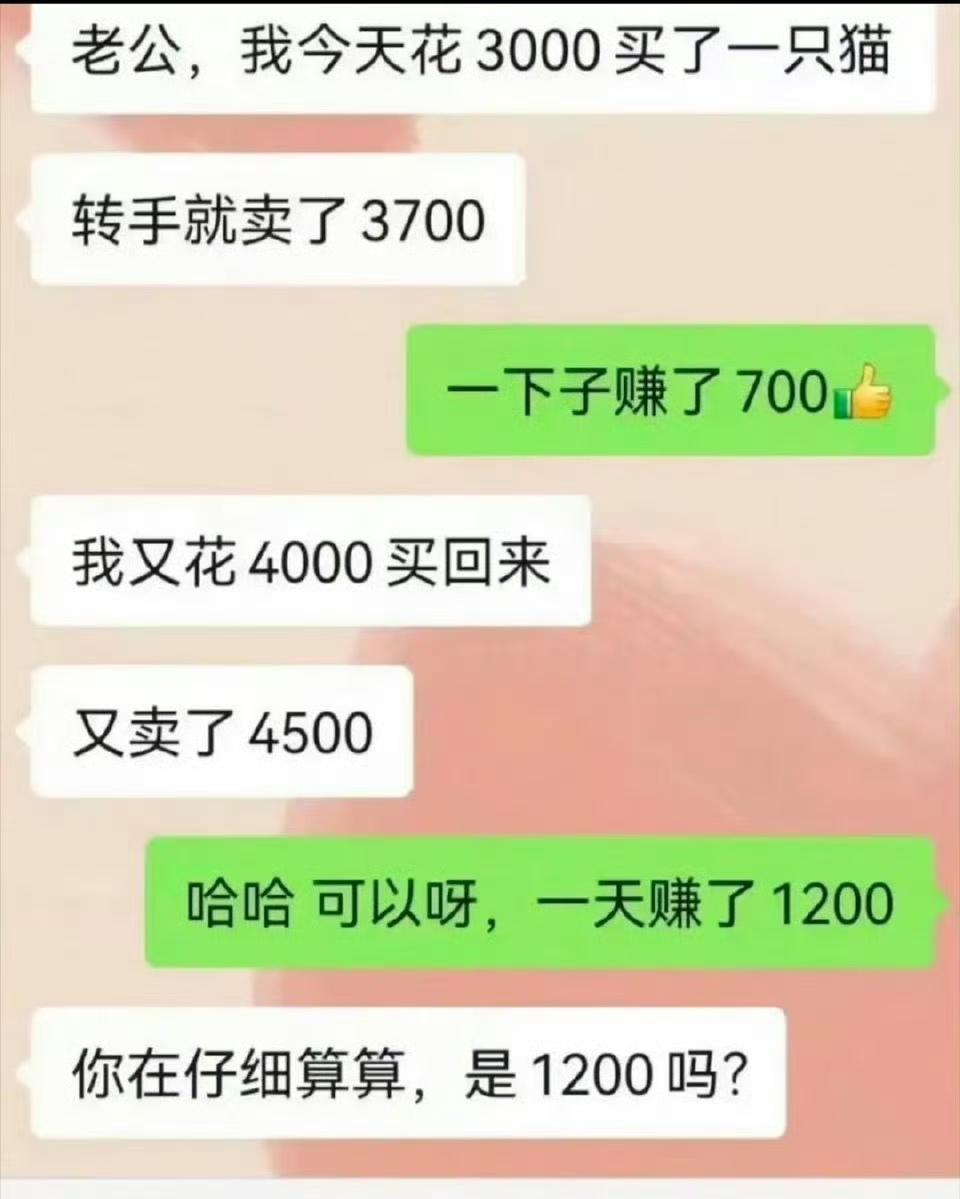 这个老婆可以的，适合做生意。