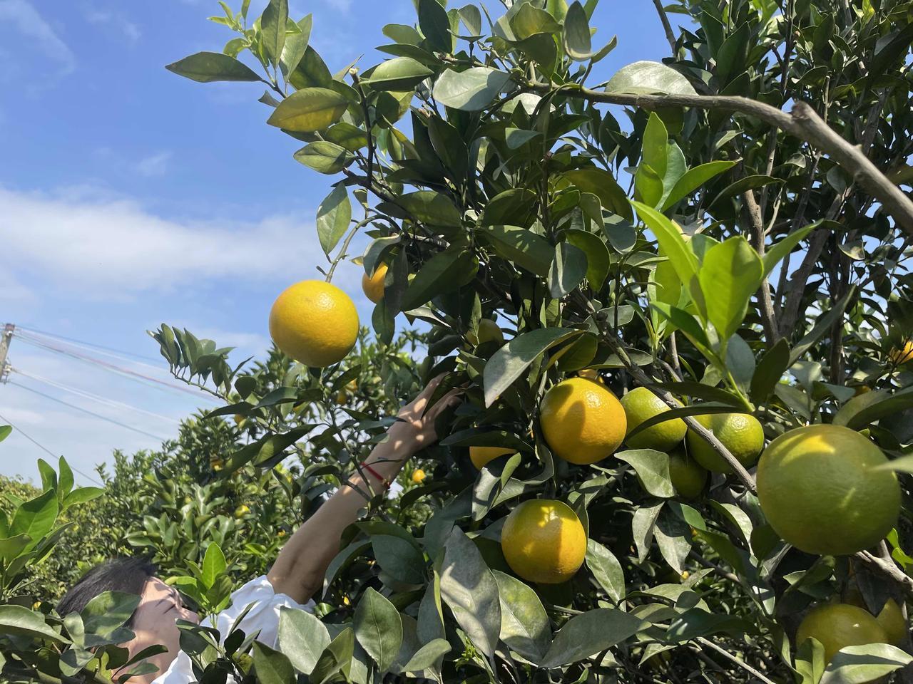 深圳陈老板，35岁，果断以5000万的价格转让了经营多年的电子厂，又贷款500万