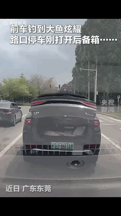 “万万没想到”！一司机在红绿灯路口的时候，前车的后备箱突然打开了，里面有一条大鱼