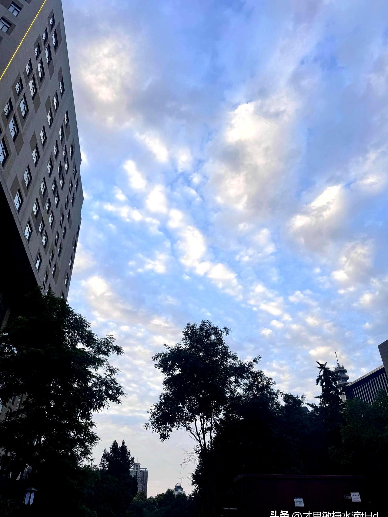 从考场出来时，那个复读的男孩眼眶红着，说数学一片空白，物理还碰上几道根本没见过的