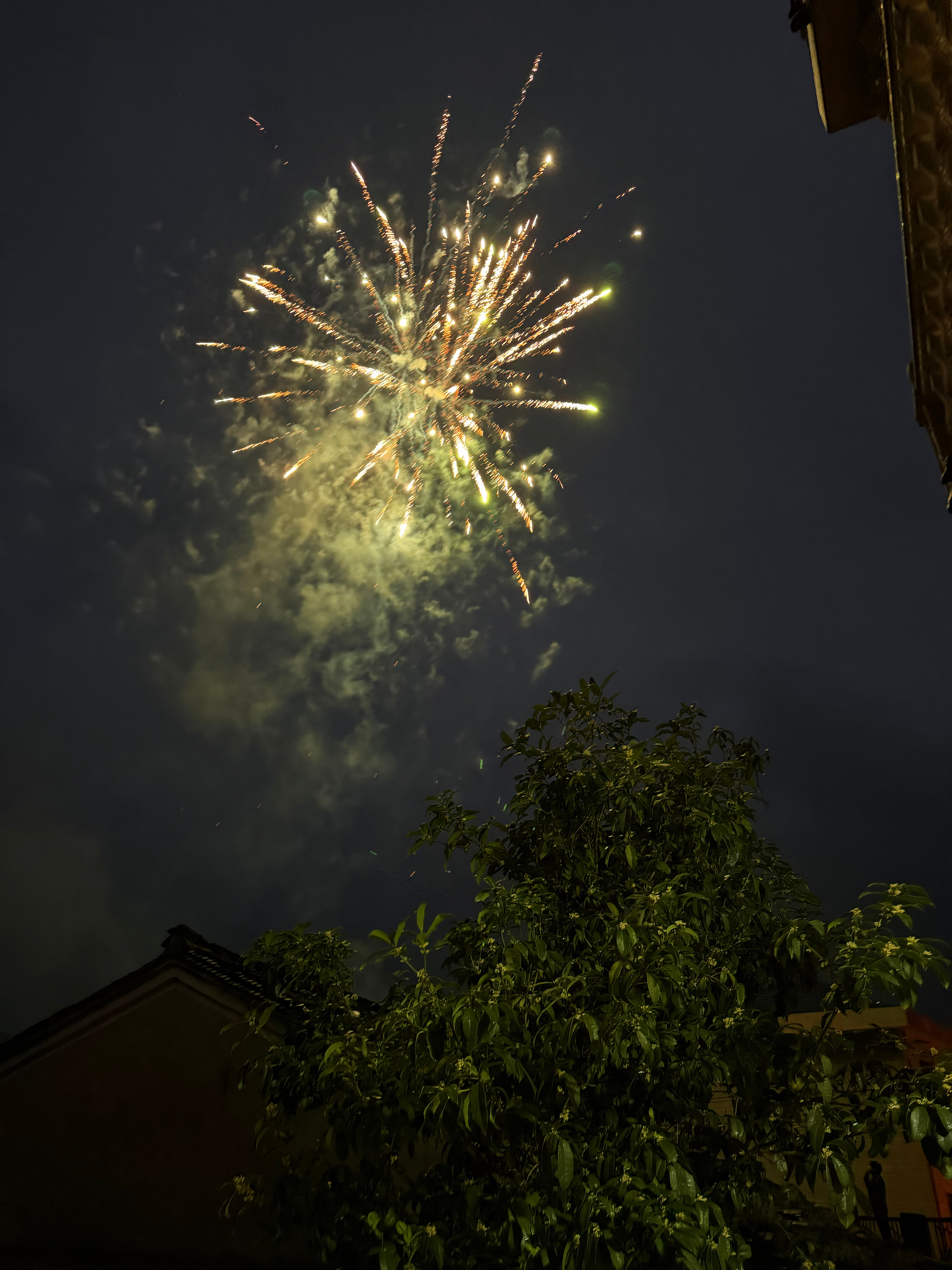 烟花先蹭一下隔壁的烟花我们一般0点放 
