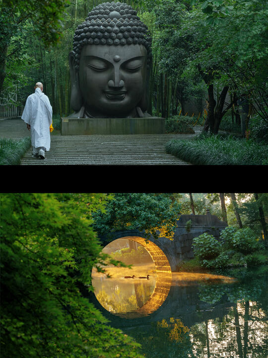 我用哈苏，把杭州拍成电影里的江南。
