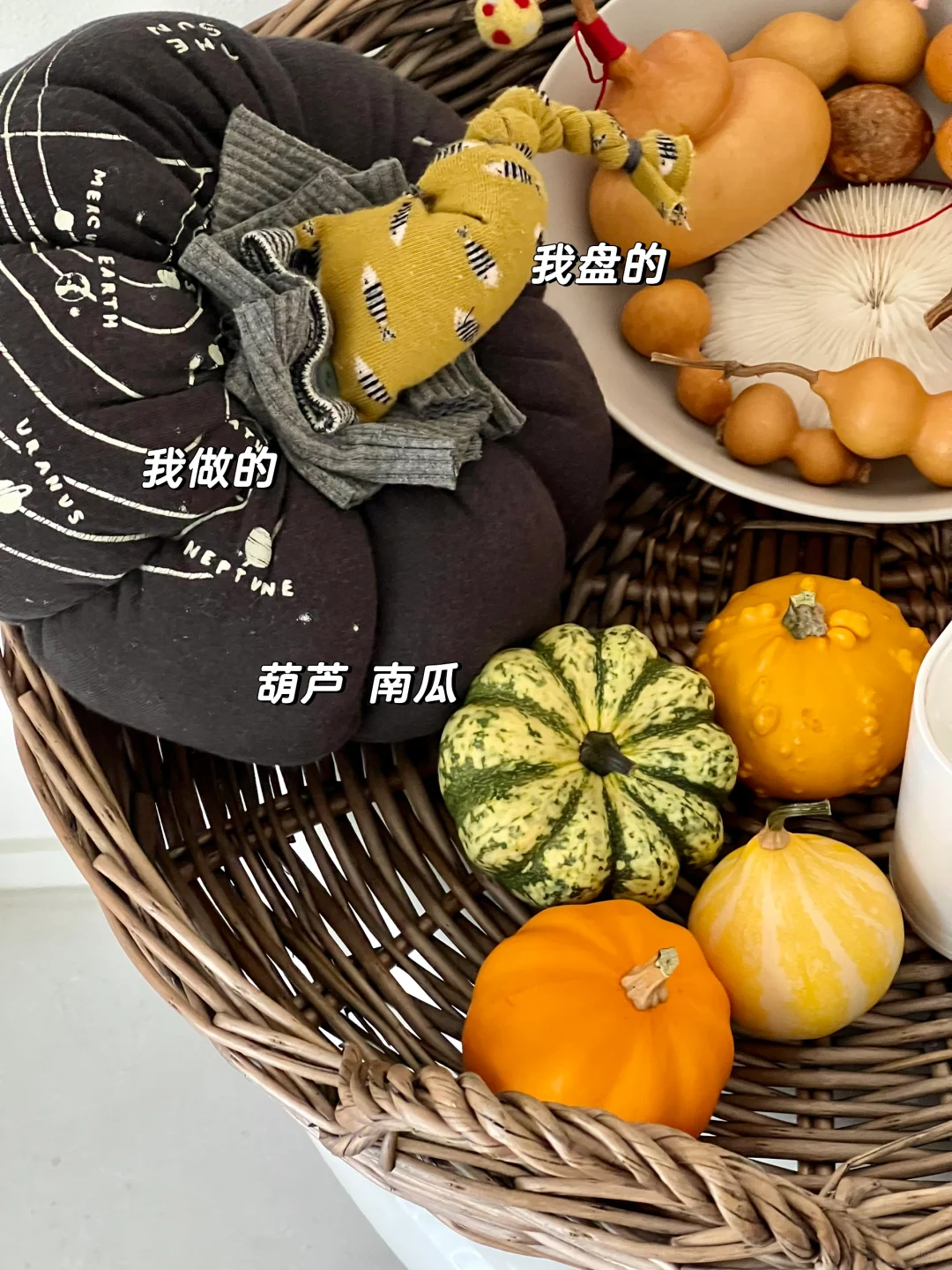 家居｜谁会拒绝等秋的“小南瓜”呢