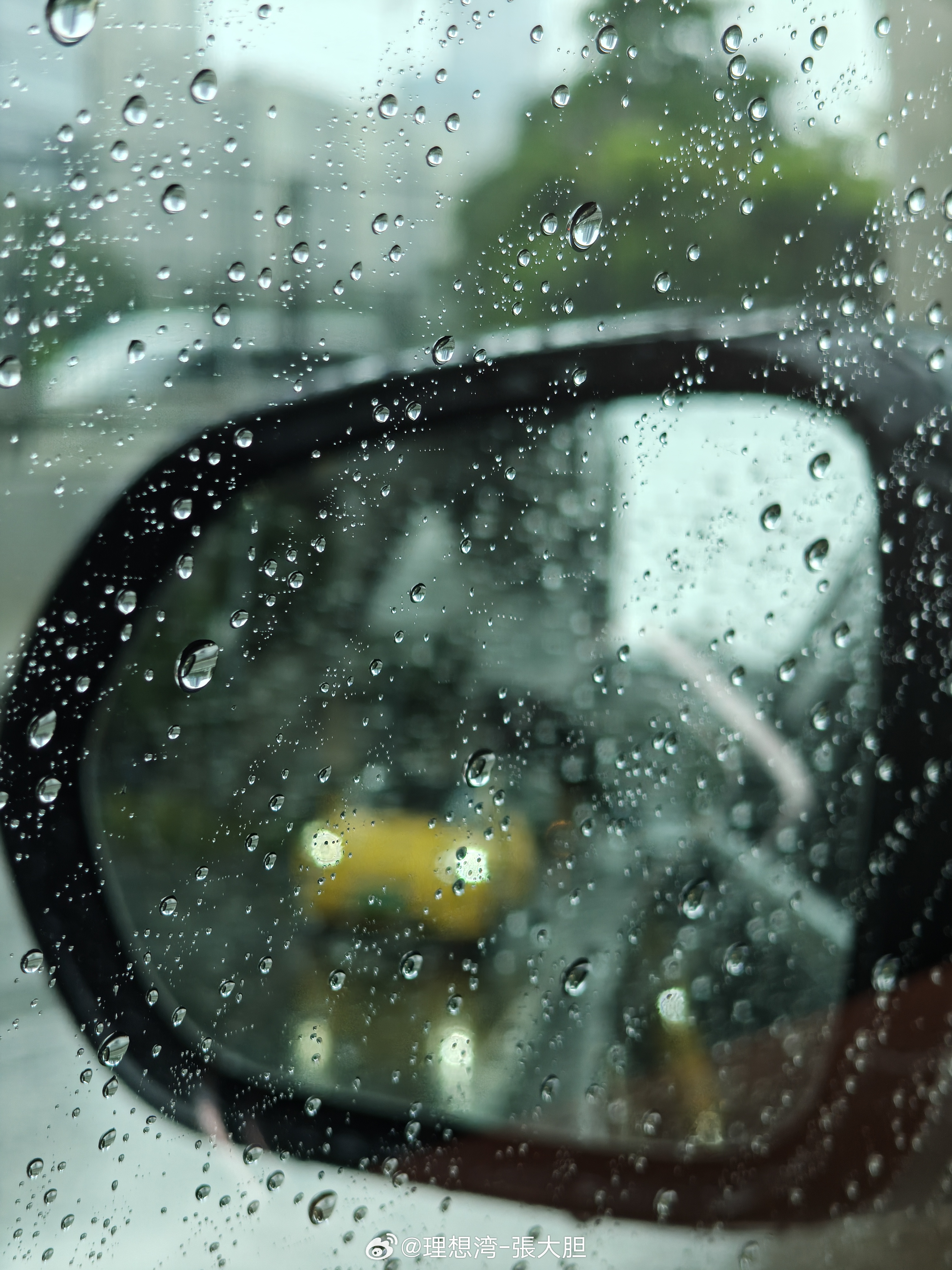 台风白海豚暴雨回马枪🌧️刚下了一场大的，给深圳降了降温，挺好的！幸亏昨天没洗车