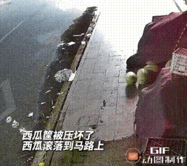 太意外了！福建，一位老板早上发现盖西瓜的篷布被打开，原以为是人为所致，立即查看监