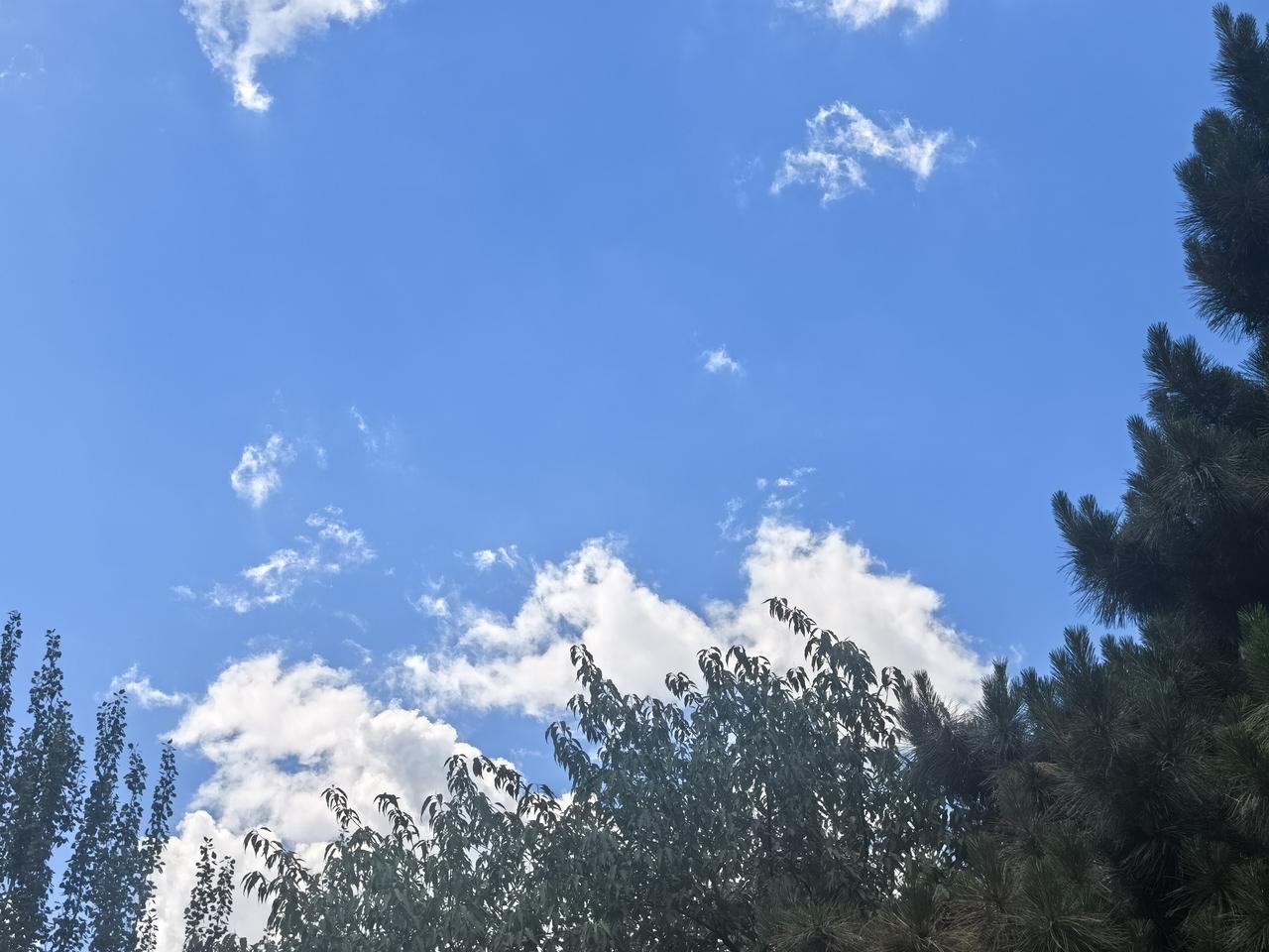 我觉得，老了，最大的底气有两个，一是健康，二是足够的经济保障。没有健康，就什么也