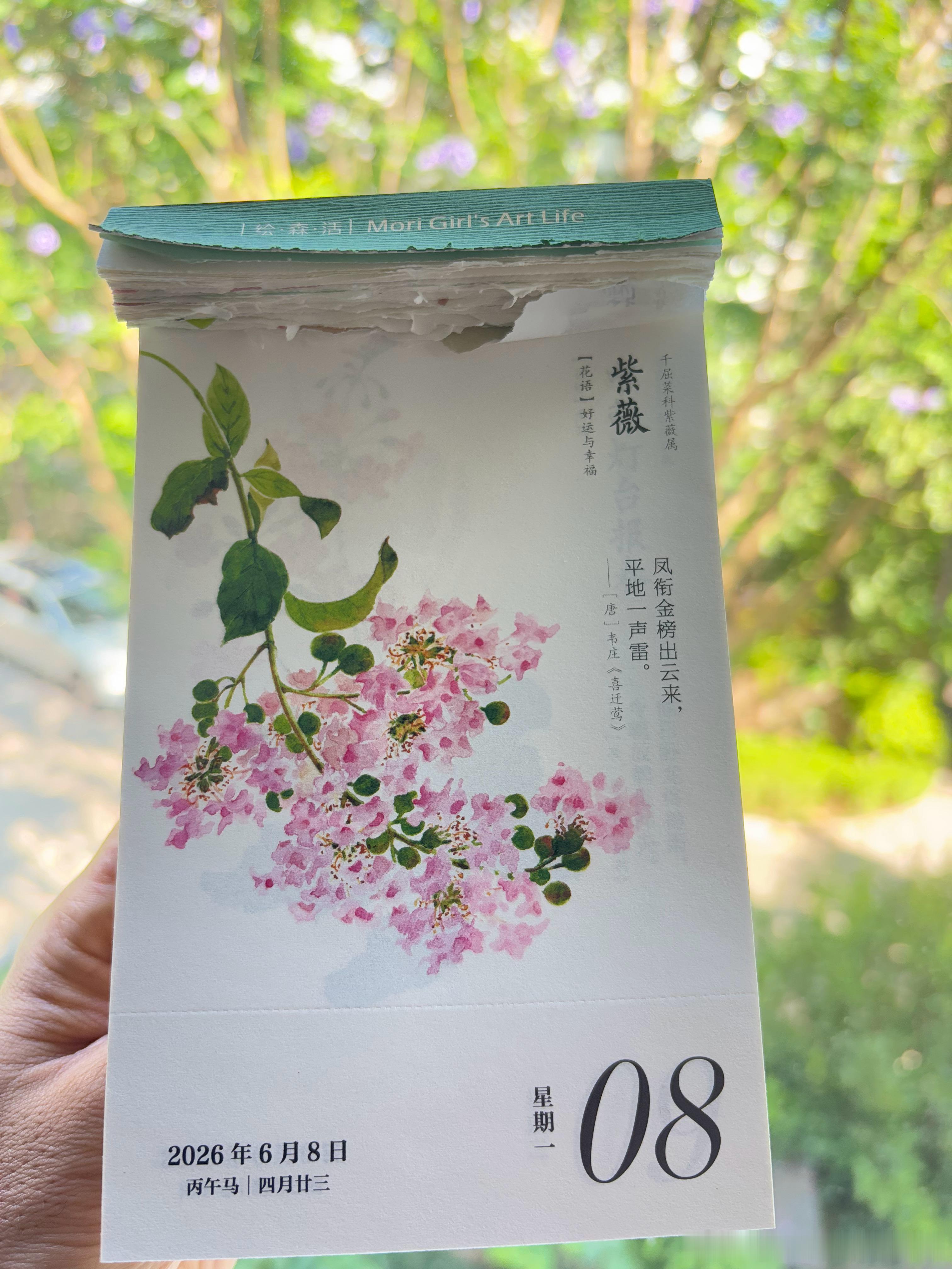撕下今天的日历，啊哈