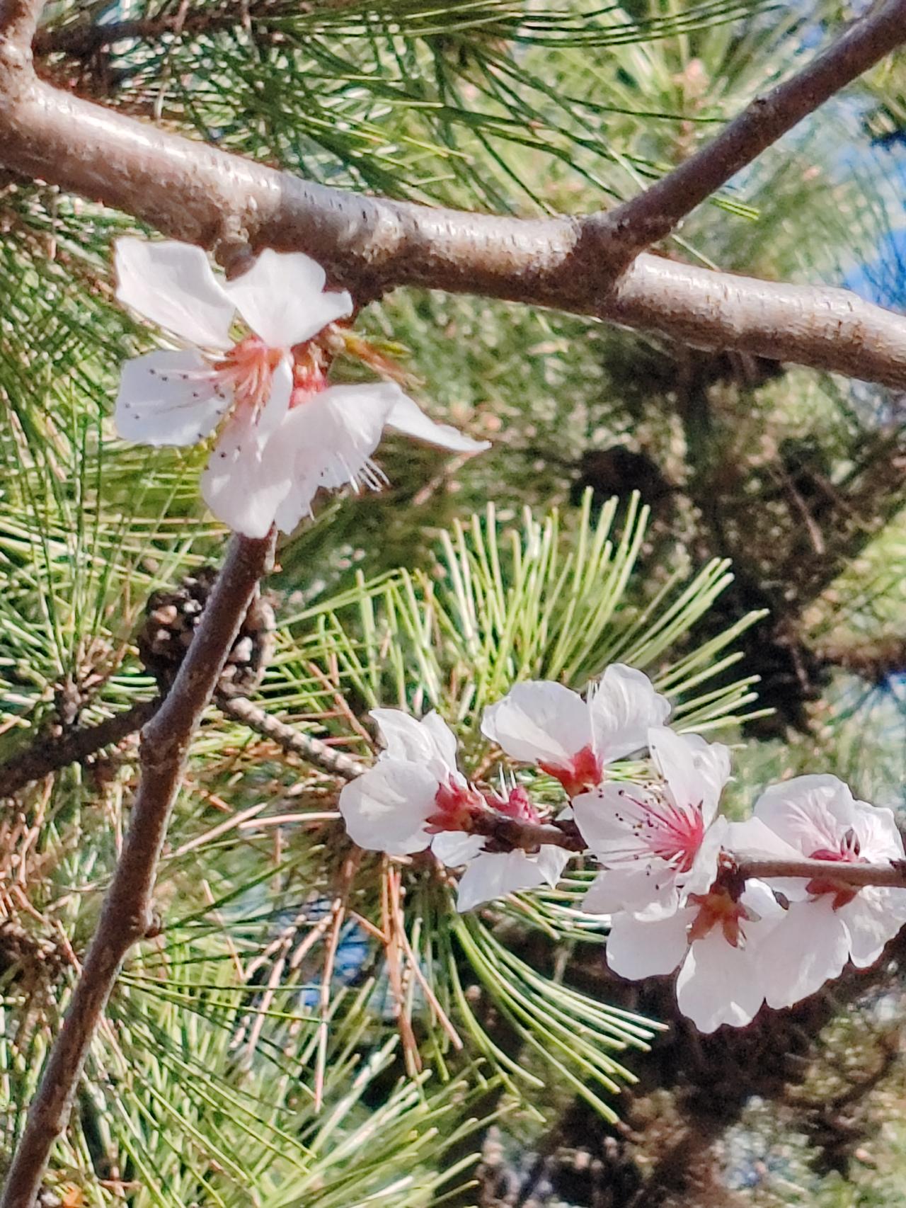 晒图笔记大赛随手拍。