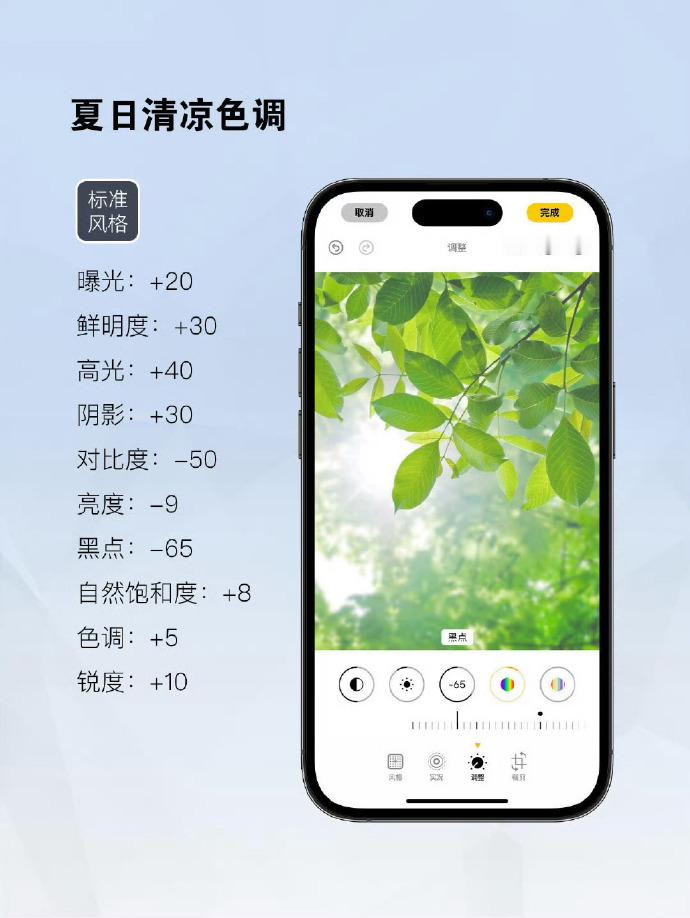 用 iPhone 拍照，你是不是遇到过偏色、模糊、风格不对等问题？快调好这些设置