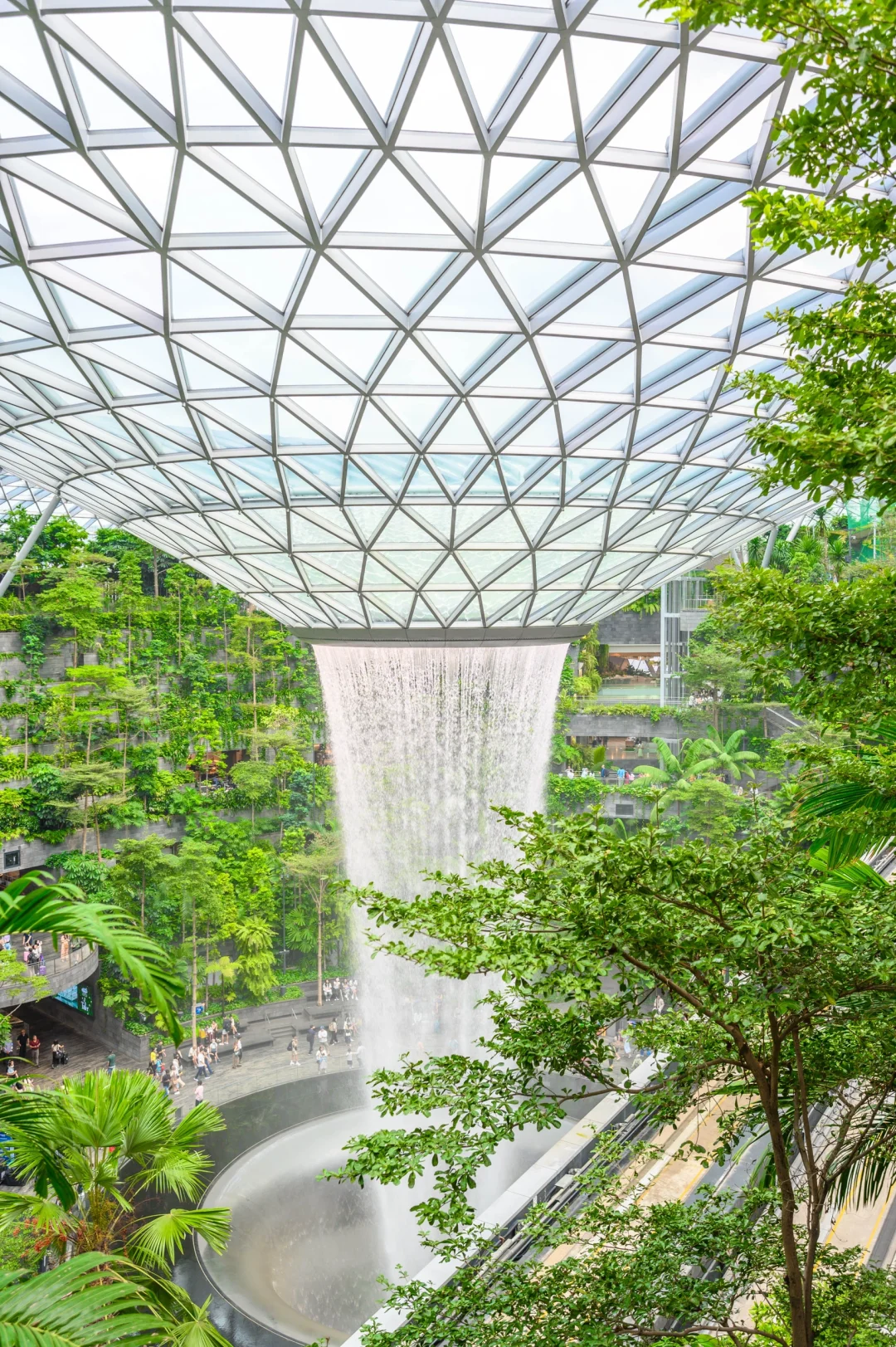 新加坡机场星耀樟宜瀑布攻略｜全球最美机场