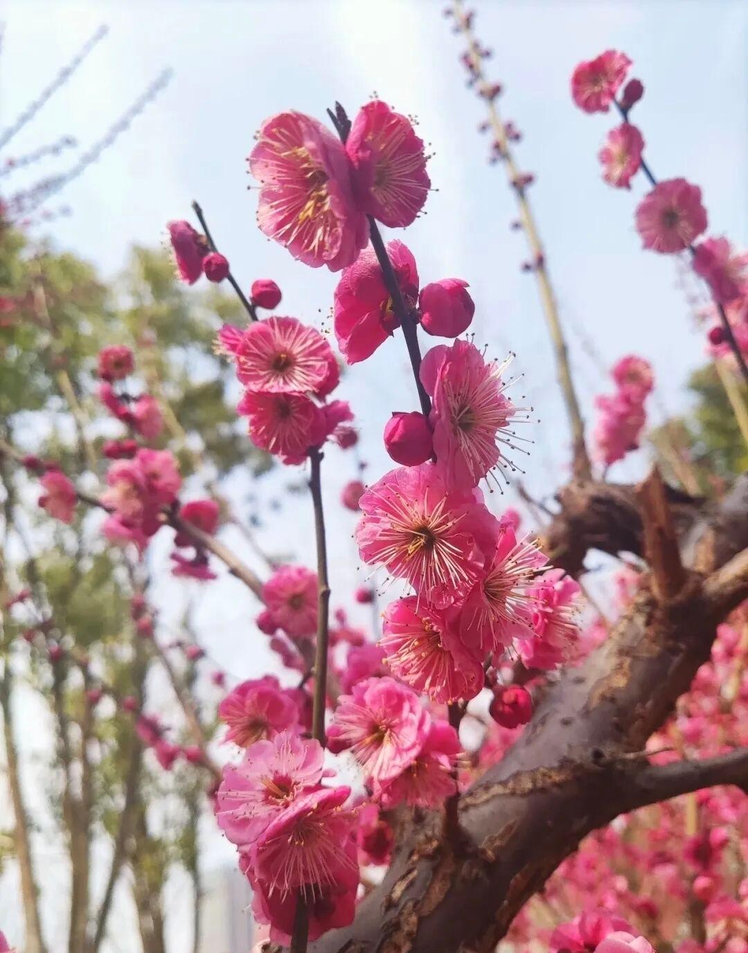 今天，天空还淅淅沥沥下着雨，细密的雨丝如愁绪般飘落，打湿了大地，也打湿了人们的心