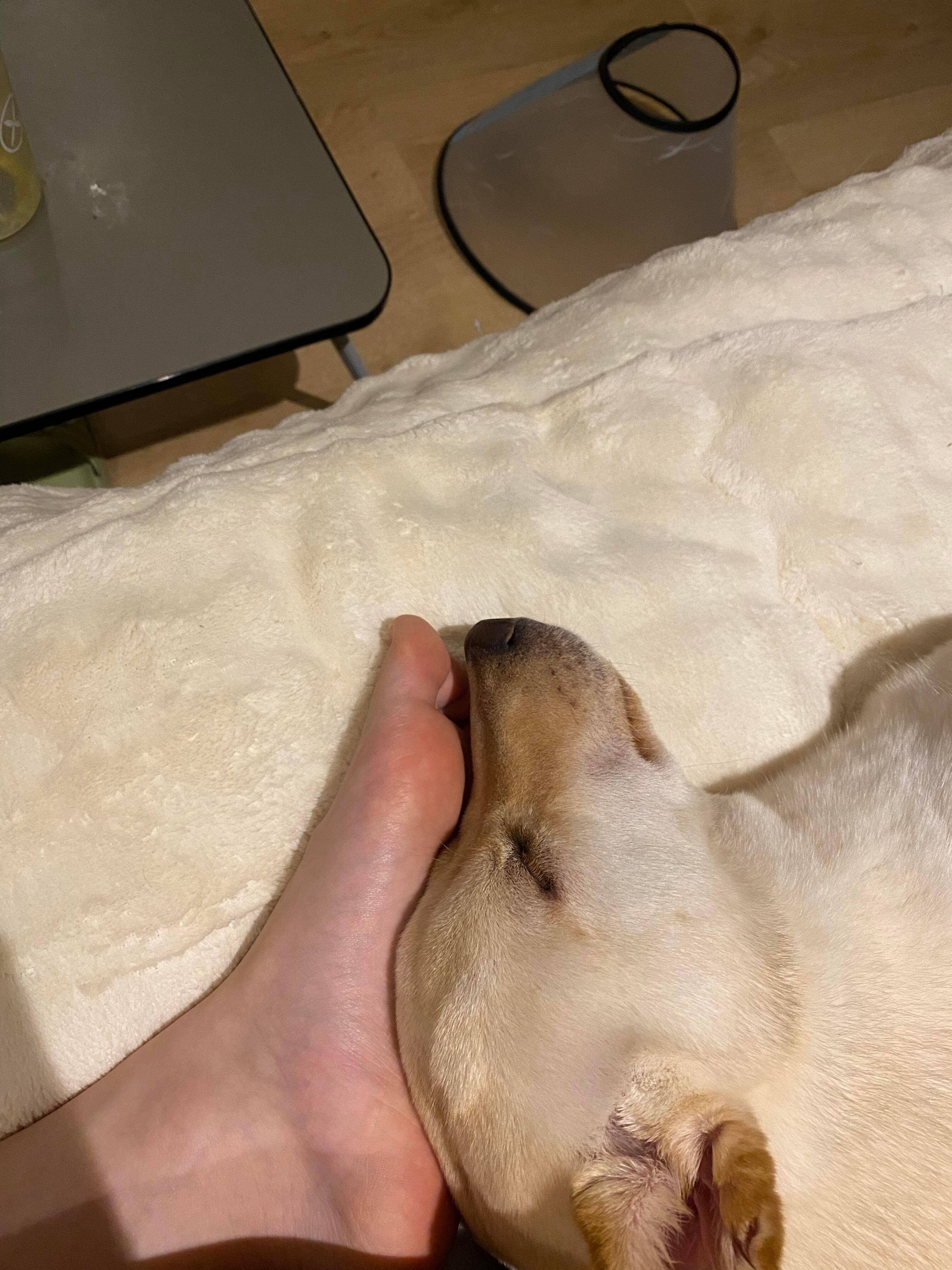 完美贴合 ​​​