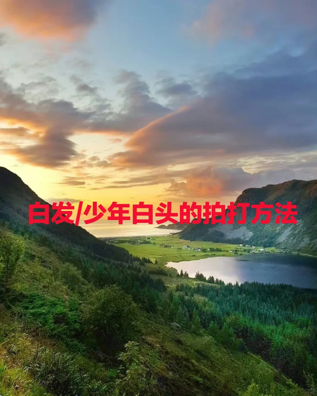 白发/少年白头的拍打方法