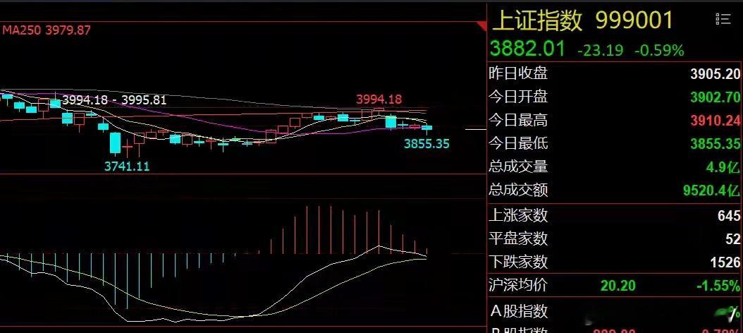 传闻IPO收紧系误读！芯片板块会止跌吗？ 
