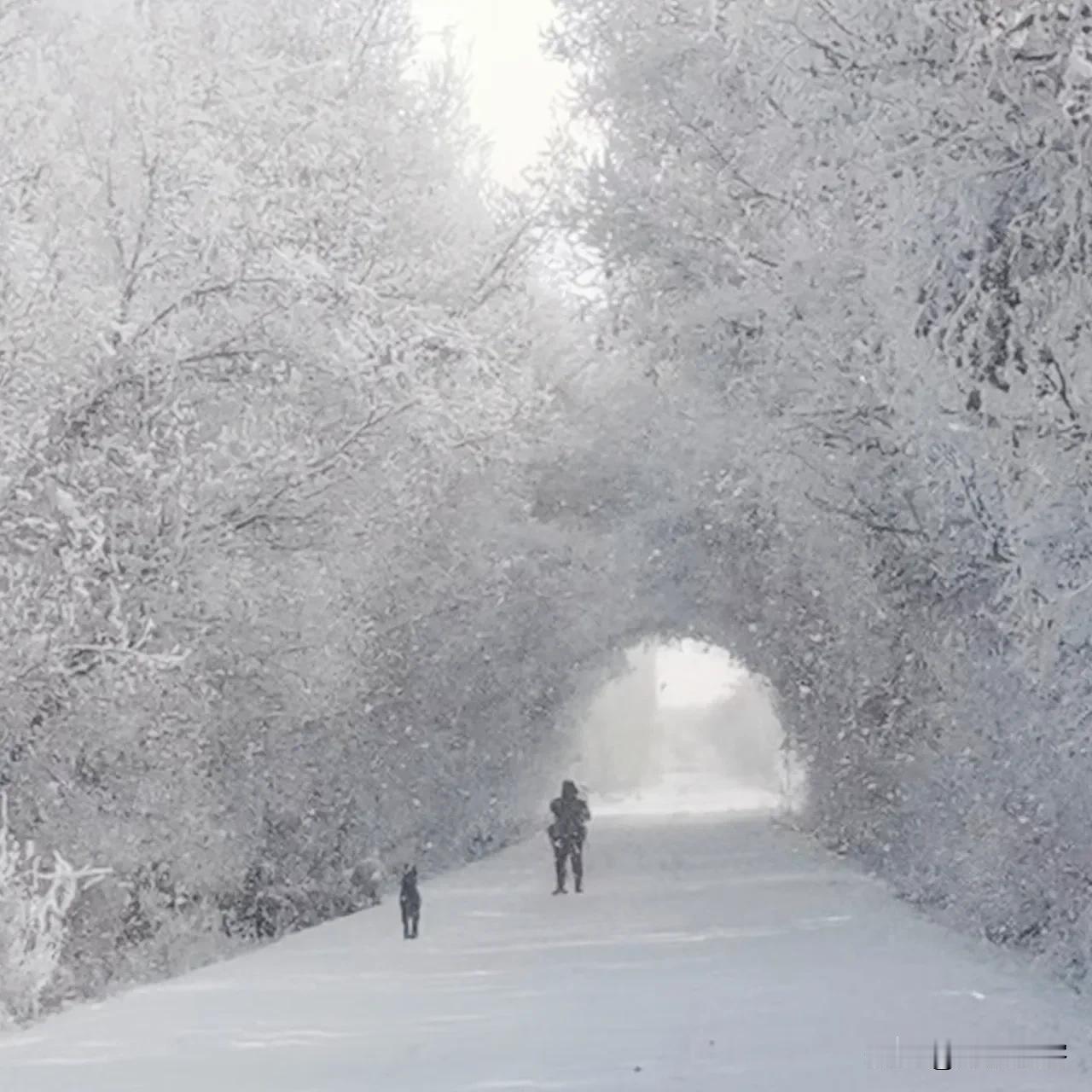 新疆的同事昨天发来了手机随手拍的这几张雪景，着实漂亮。这就是想勾搭我返回新疆的节