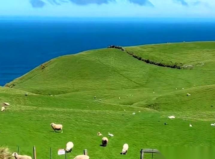 想搞懂什么叫“物理劝退”，你得看看新西兰的地图。
一个将军摊开世界地图，想找个软