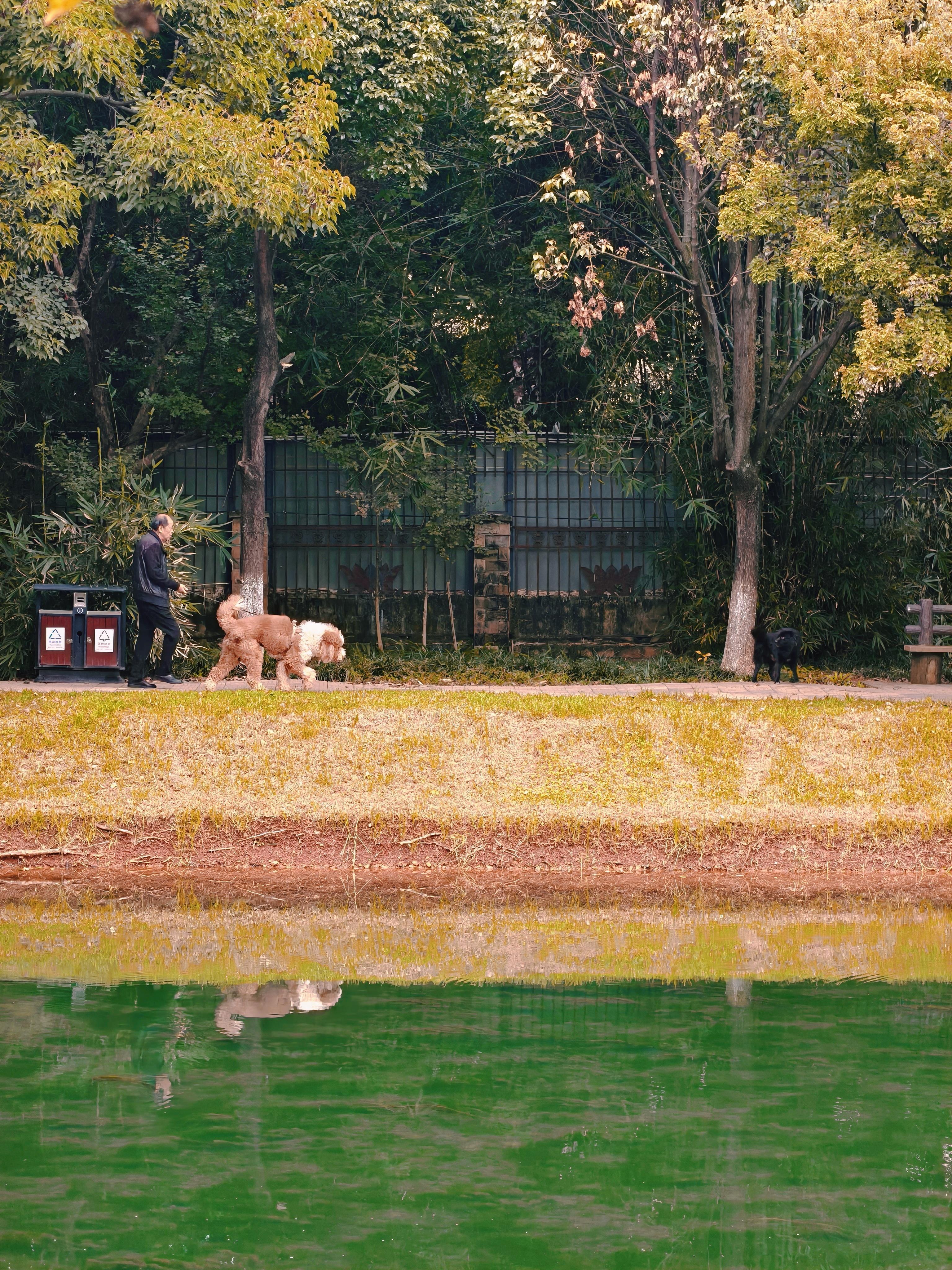 溜溜偷狗车，炒个青菜腊肉炒饭[春游家族][春游家族] ​​​
