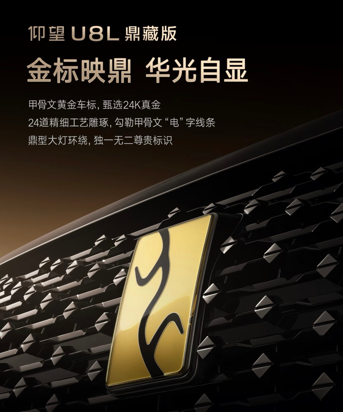 24K纯金的车标，分量还不少。这车停我楼底下我不太放心，还是不买了吧！你们觉得呢