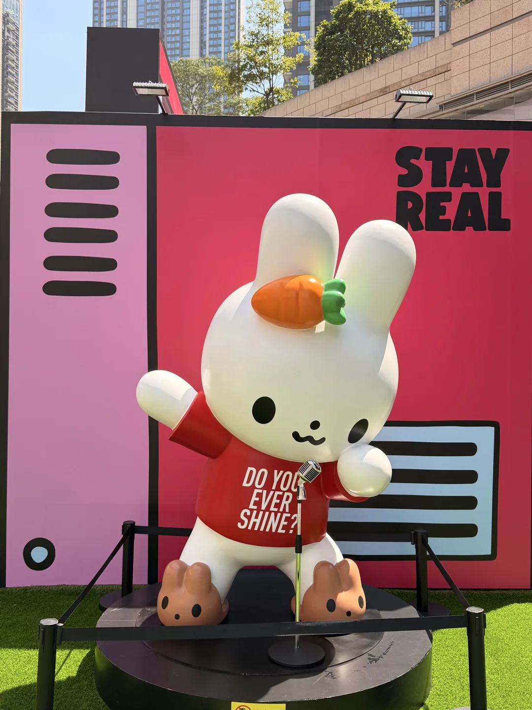 深圳！wmls集合！STAYREAL又来啦🐰🥕