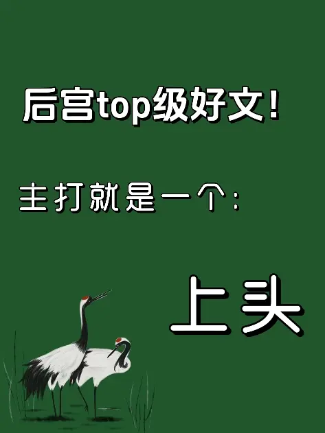小说 文荒推荐 后宫
