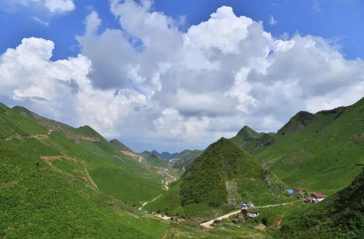 公元816年盛夏，秦岭古道上，一匹快马驮着开州雪宝山的车前草奔向长安。宰相韦处厚
