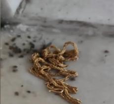 “太过分了！”7月7日报道，江苏南京，一女子金项链丢了，她邻居捡到后，交给了保安