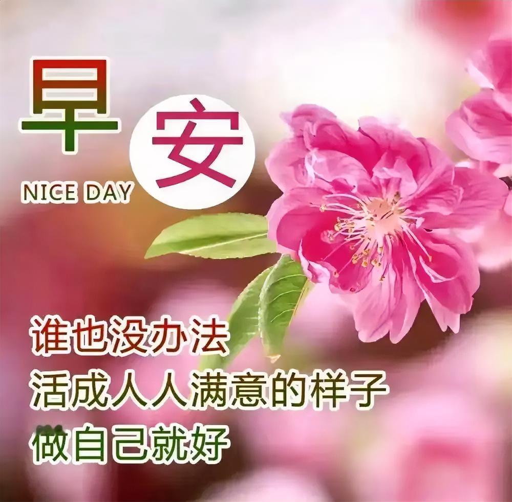 早安！粉花盛放，柔意暖心，愿你在独属的芬芳里，开启活力满溢的一天。
今日打卡早安