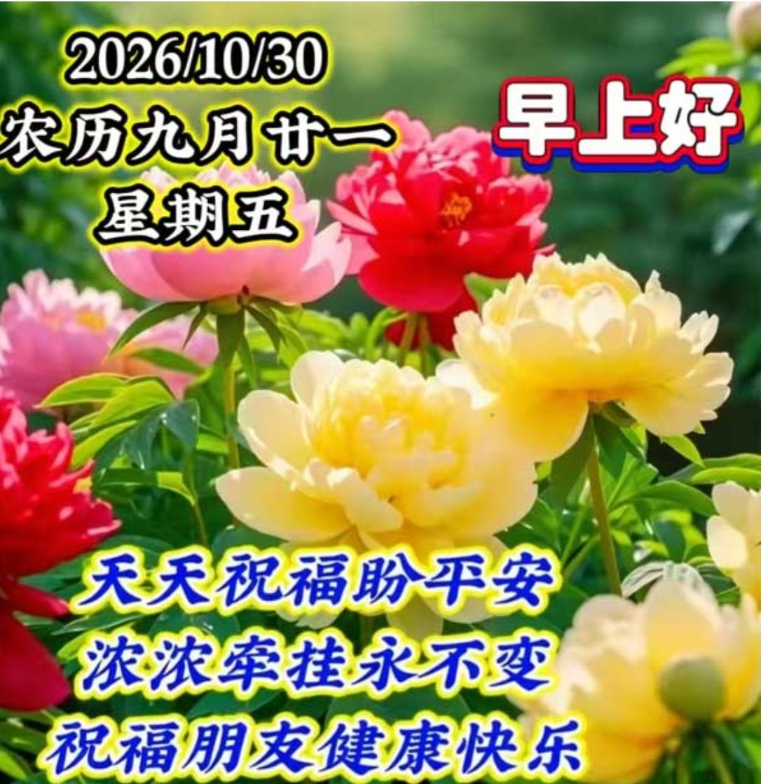 金色阳光洒满窗，
早安如意伴身旁；
每天都有事一件，
打开天条问平安；
祝你健康