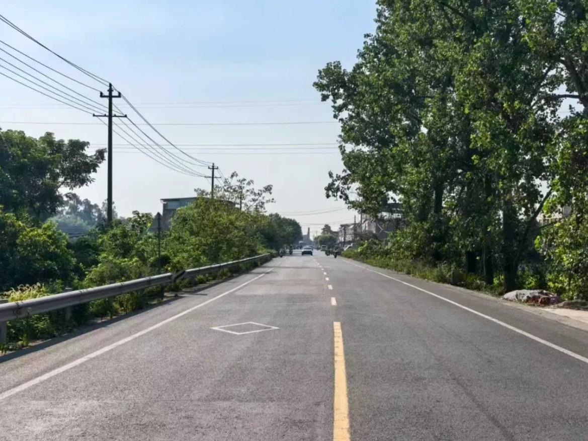 【眉山：离谱！以为路边树木无人管？4盗贼还动用了吊车作业】公路两旁的行道树不仅能