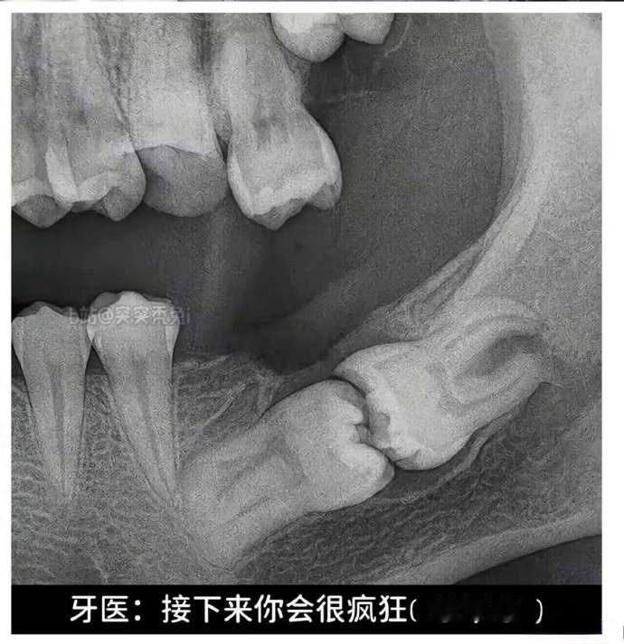 看得我已绝望
