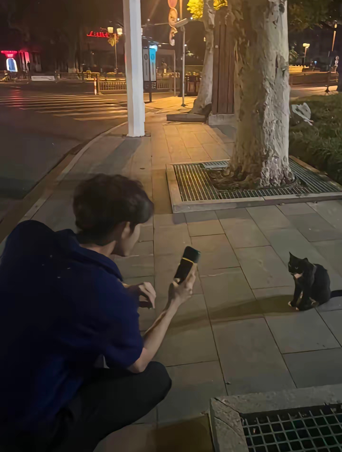 取向只需一张漂亮脸蛋纤细极瘦的身段一头蓬松的微盖鸡哥哥全都有 ​​​