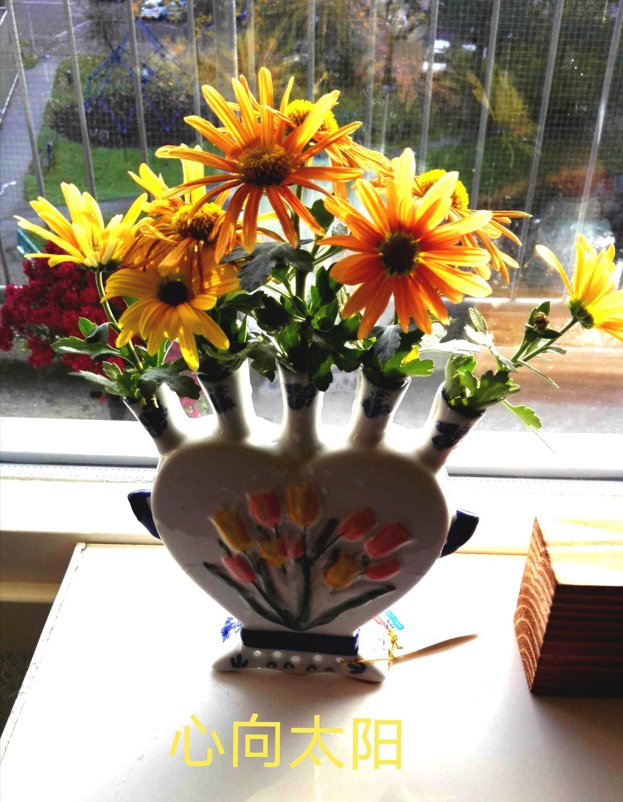 “碳循环减肥法”适合所有人吗？——科学解析与健康建议

近年来，随着人们对健康生