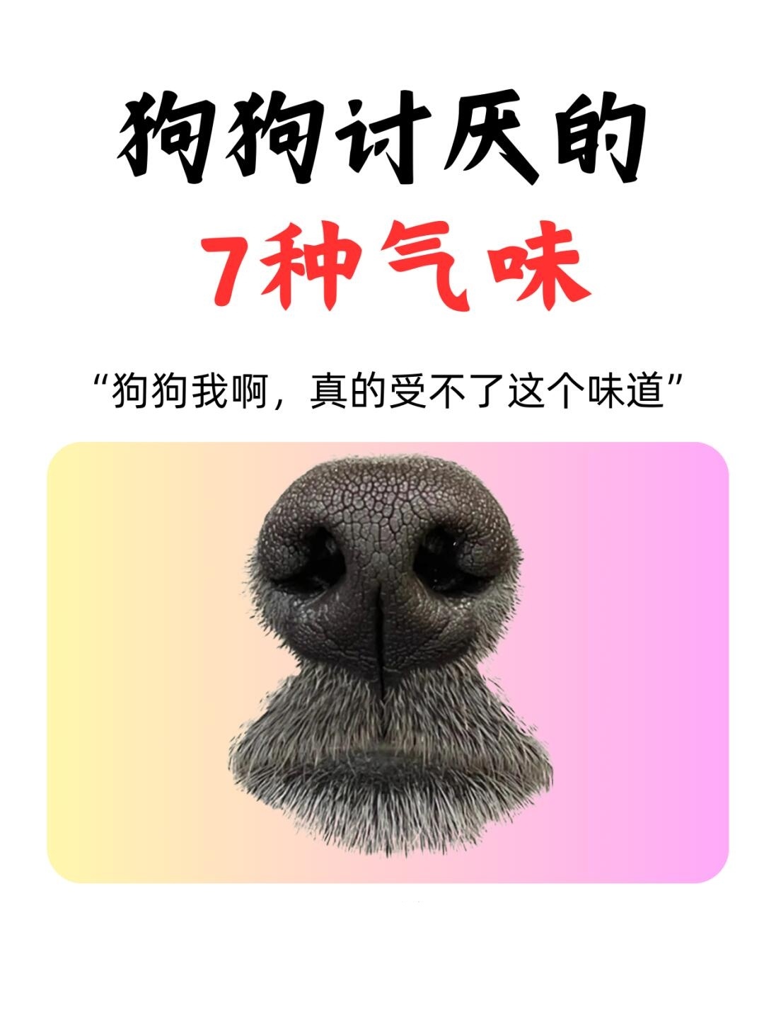 狗狗讨厌的7种气味，狗狗的嗅觉非常灵敏，所以生活中的一些刺激性气味一定要多注意，