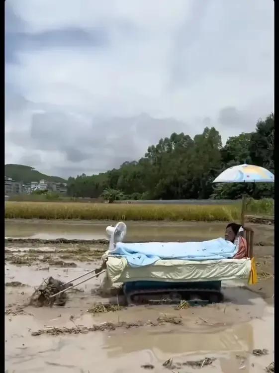 这个画面让我想起3字：“躺赢”，看看现在的农民，真的是幸福啊！舒舒服服就把农田种